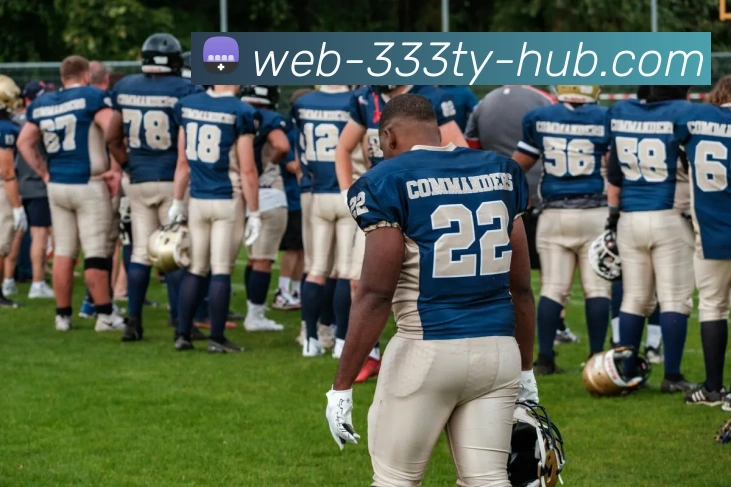 333体育APP 封面图